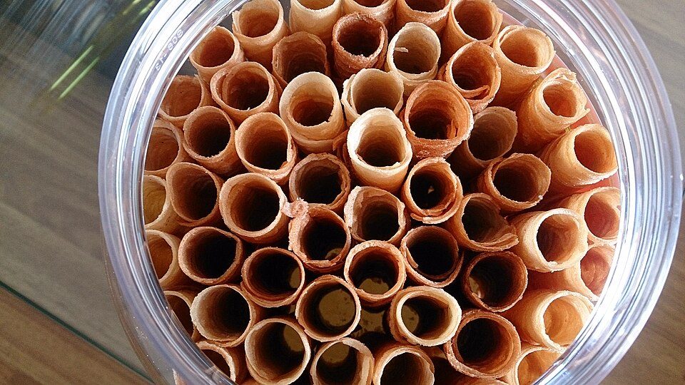 Mini Egg Rolls (6)